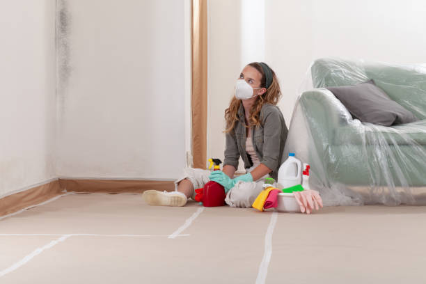 Reliable Mold Cleanup contractor in Blairs Mills, PA by WQB Mold Removal